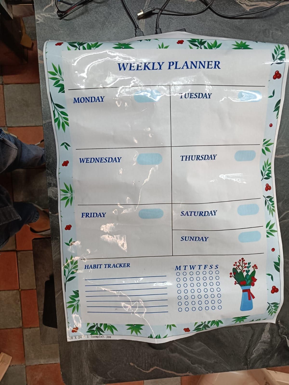 Weekly Planner Organizer Sheet